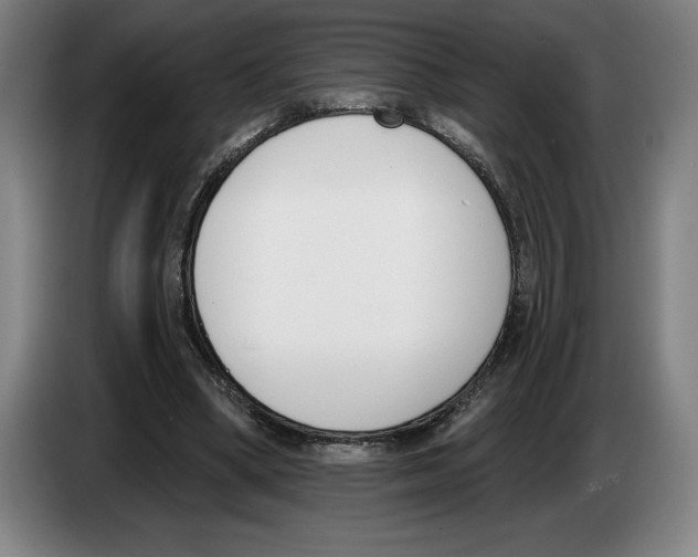 X0000083530394200703091516