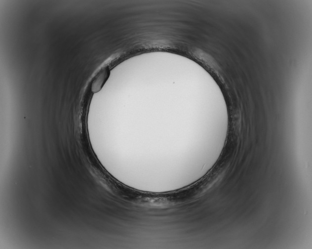 X0000083530395200703091516