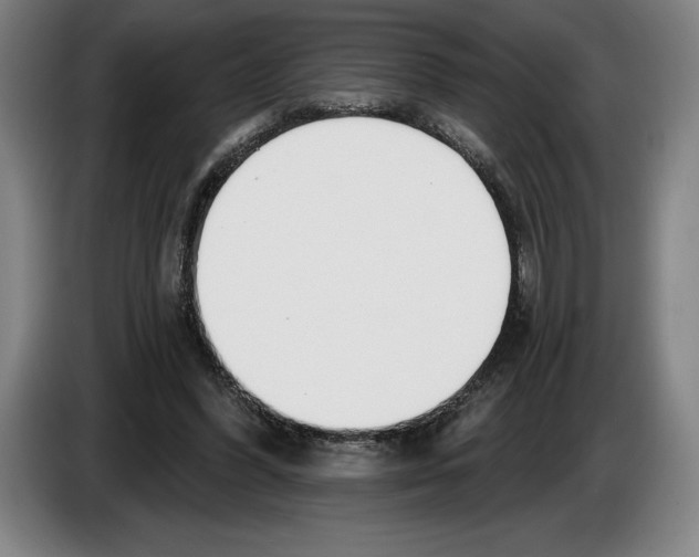 X0000083530396200703091516