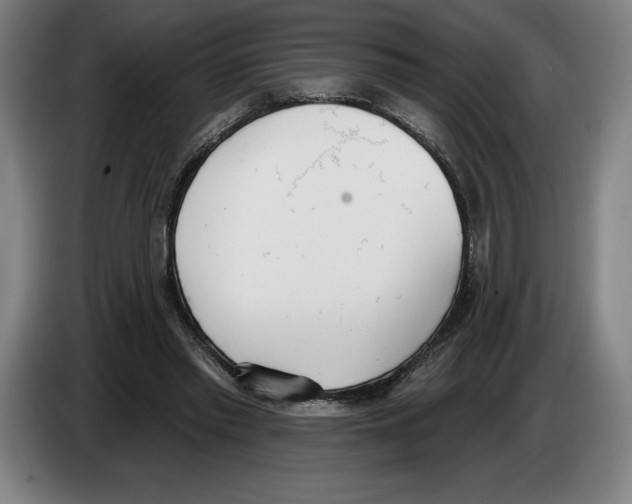 X0000083530397200703091516