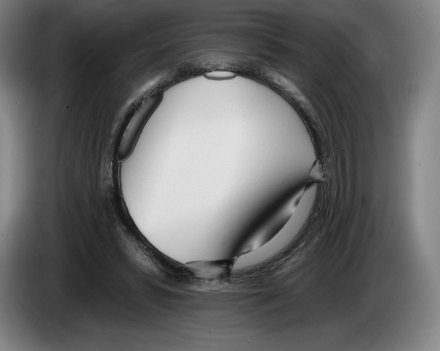 X0000083530399200703091516