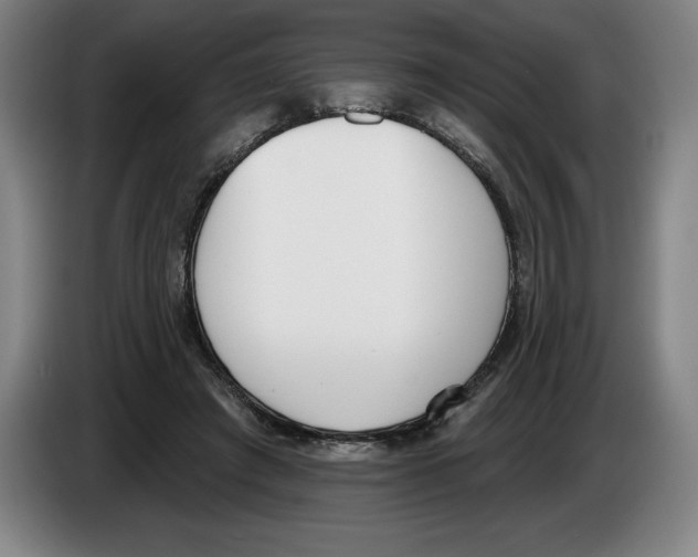 X0000083530401200703091516