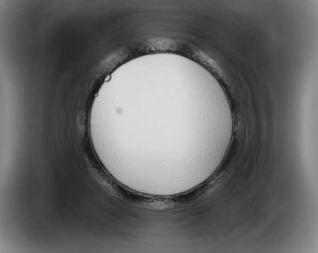 X0000083530402200703091516