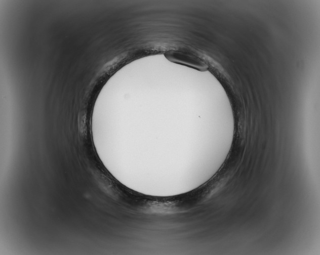 X0000083530403200703091516