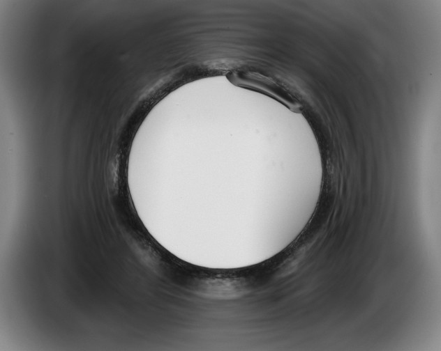 X0000083530404200703091516