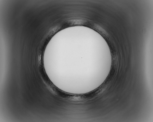 X0000083530406200703091516