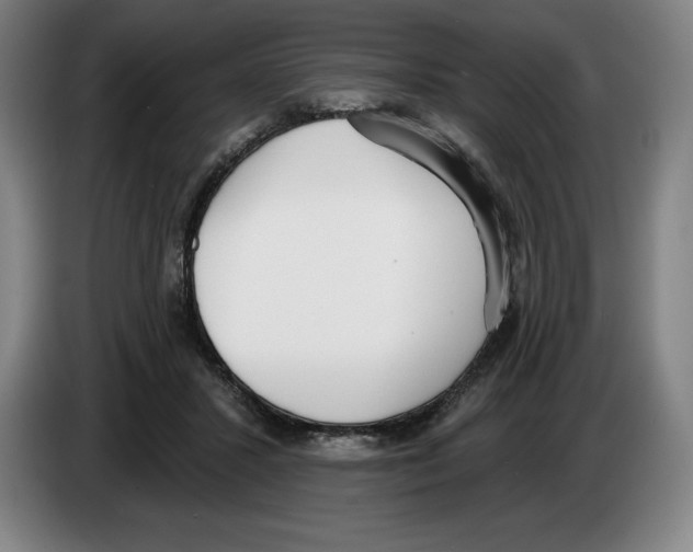 X0000083530407200703091516