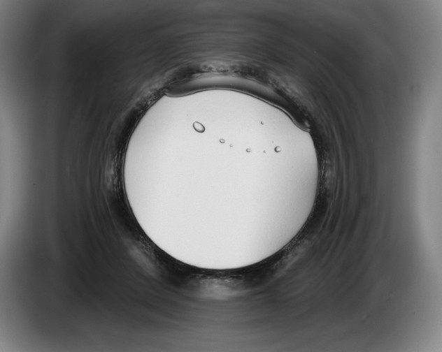 X0000083530408200703091516