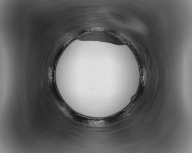 X0000083530410200703091516