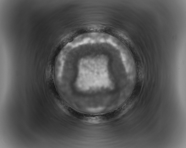 X0000083530411200703091516