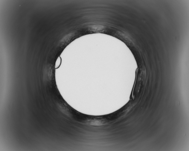 X0000083530412200703091516