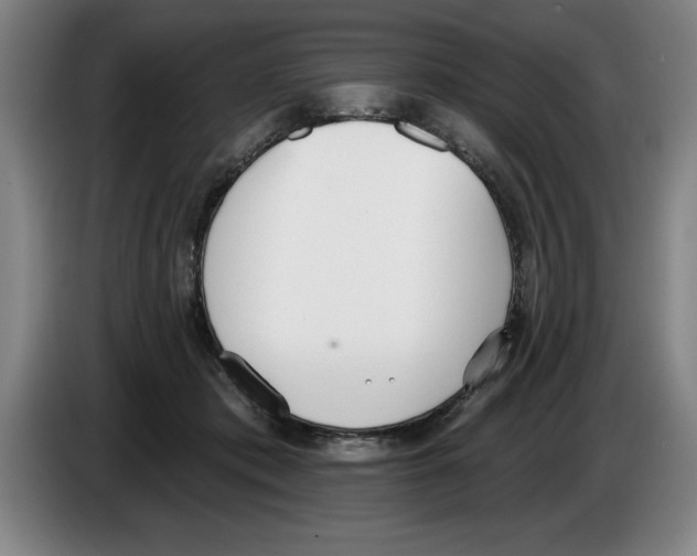 X0000083530413200703091516