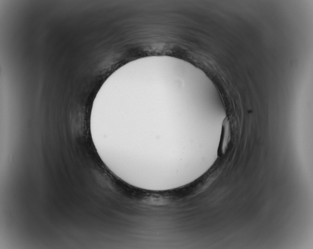 X0000083530416200703091516