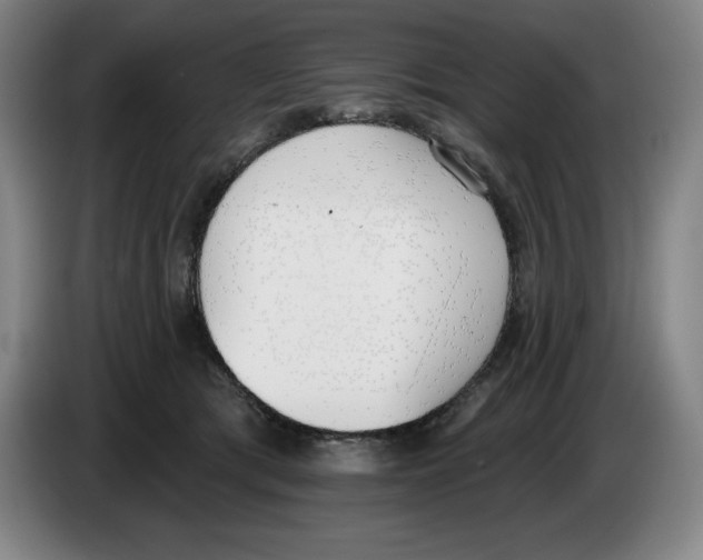 X0000083530417200703091516