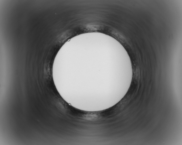 X0000083530418200703091516