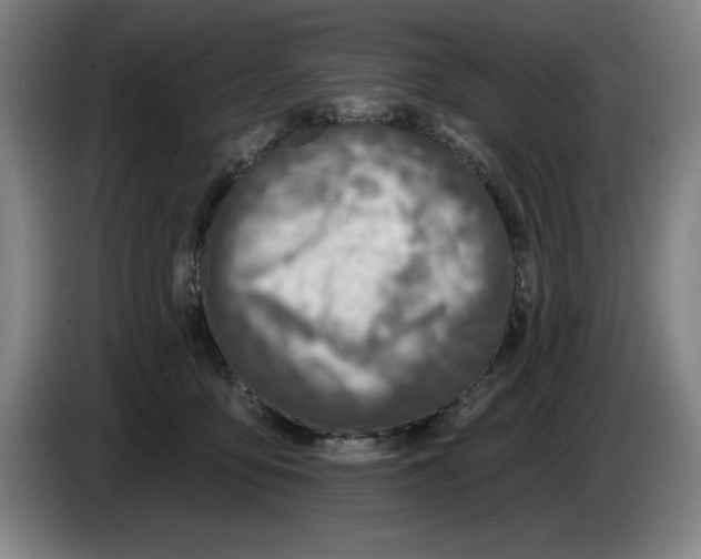 X0000083530419200703091516