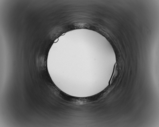 X0000083530420200703091516