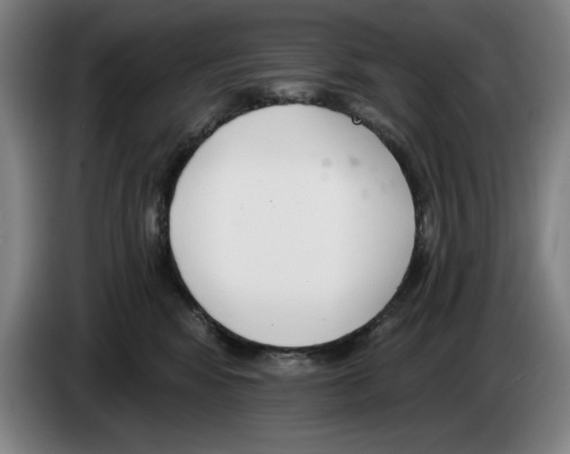 X0000083530424200703091516