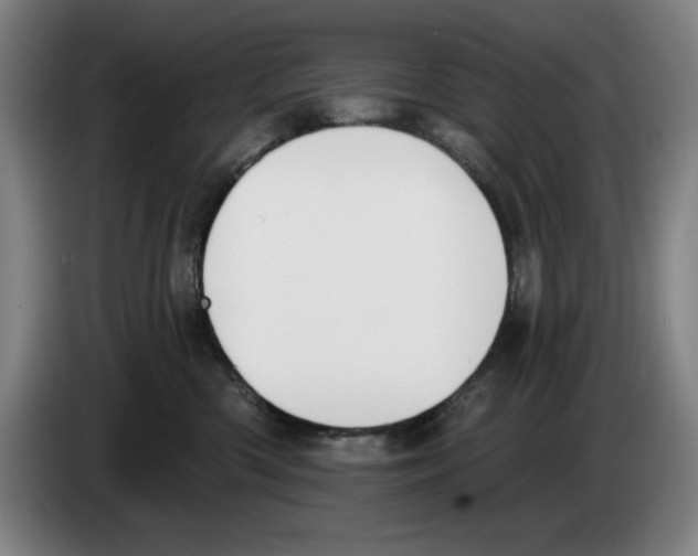 X0000083530426200703091516