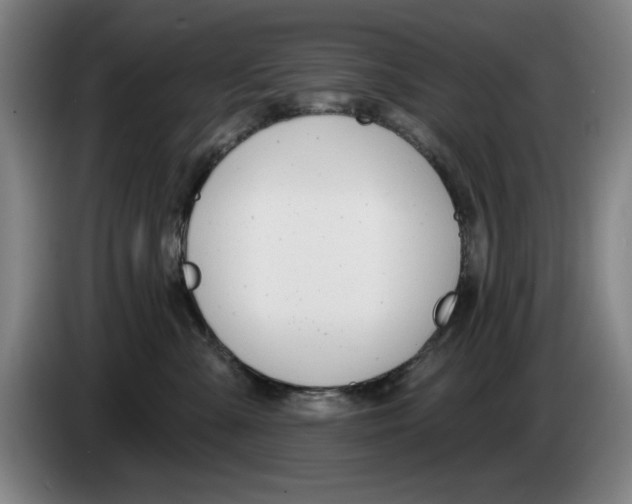 X0000083530427200703091516