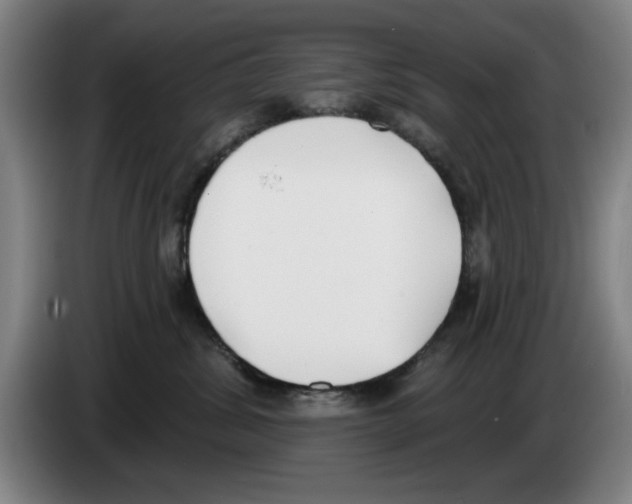 X0000083530428200703091516