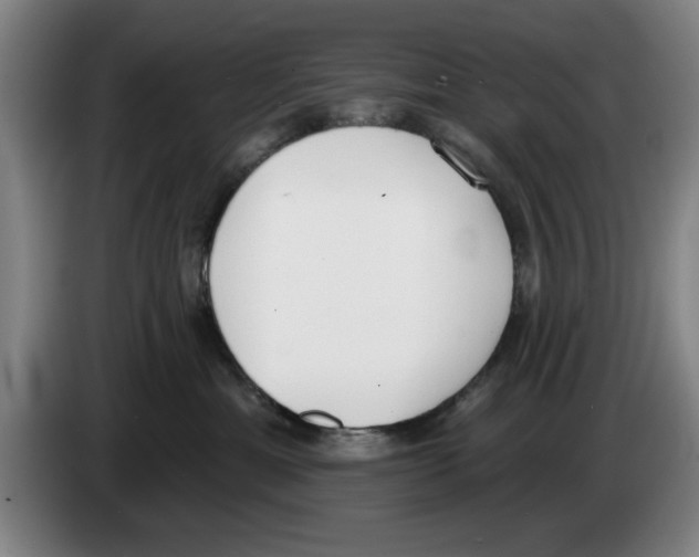 X0000083530429200703091516