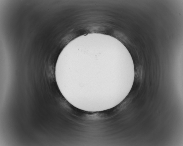 X0000083530430200703091516