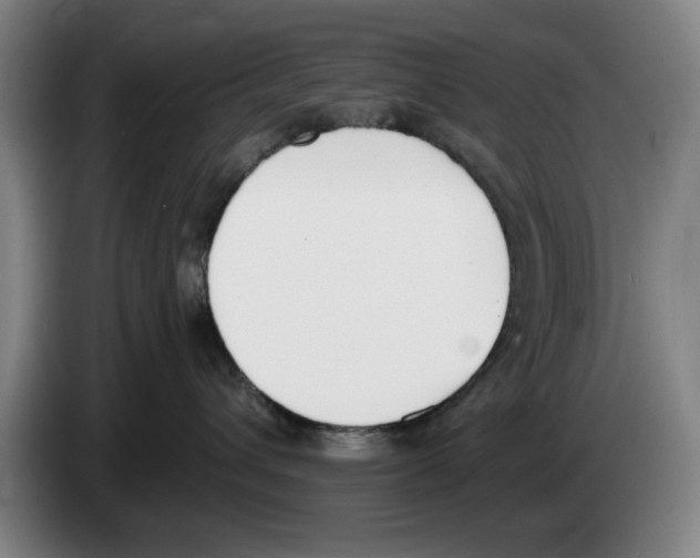 X0000083530432200703091516