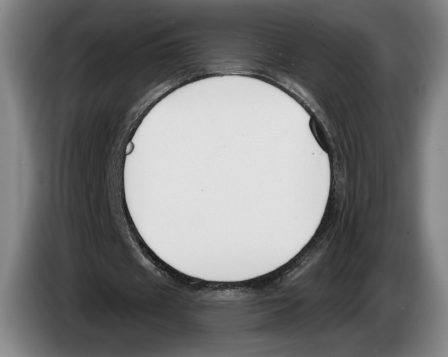 X0000083530433200703091515