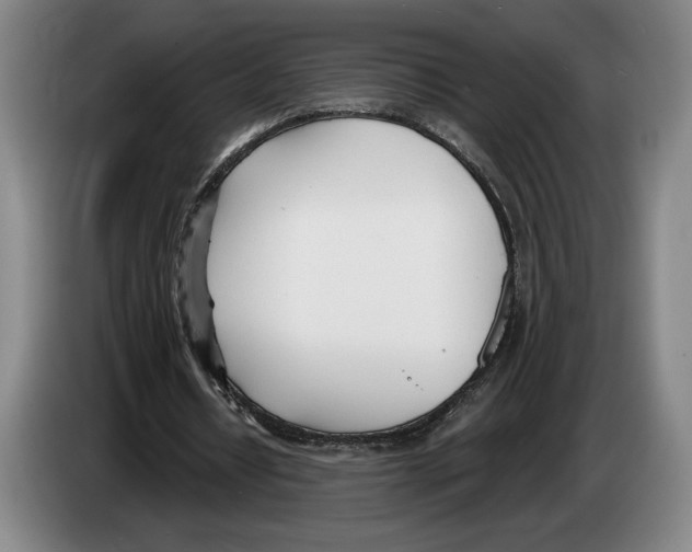 X0000083530434200703091515