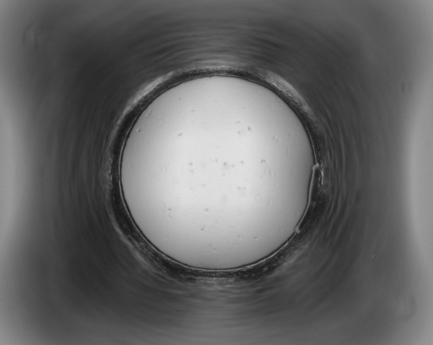 X0000083530436200703091515