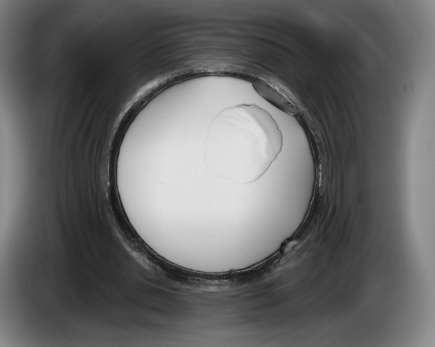 X0000083530438200703091515