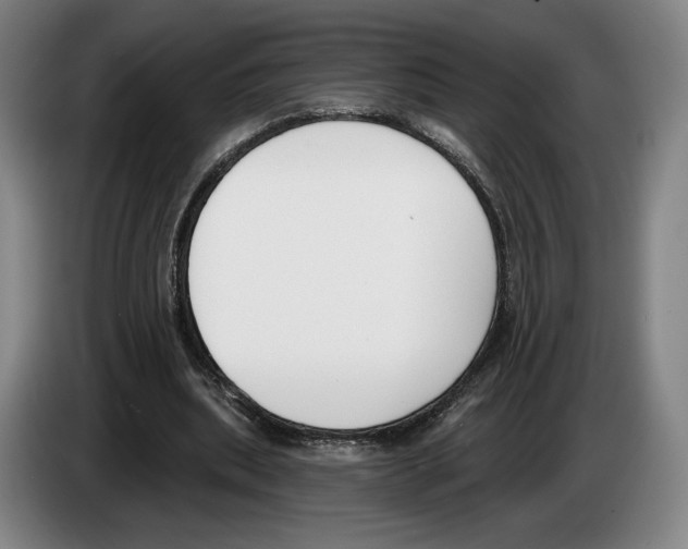 X0000083530439200703091515