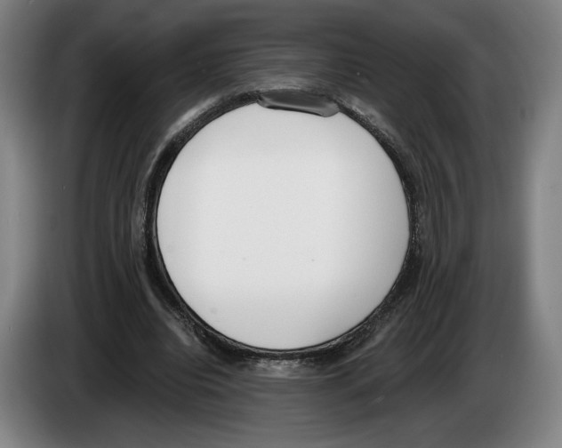 X0000083530440200703091515