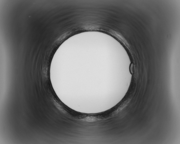 X0000083530441200703091515