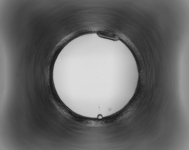 X0000083530442200703091515