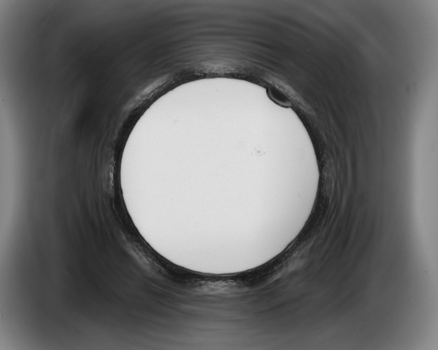 X0000083530446200703091515