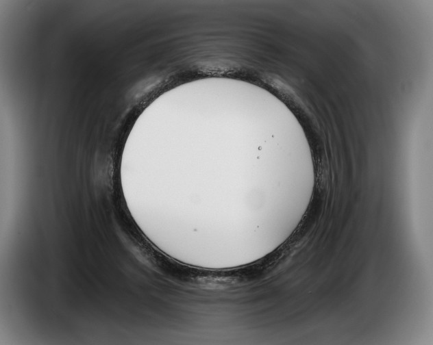 X0000083530448200703091515