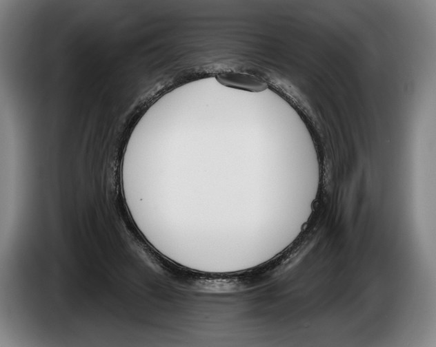 X0000083530449200703091515