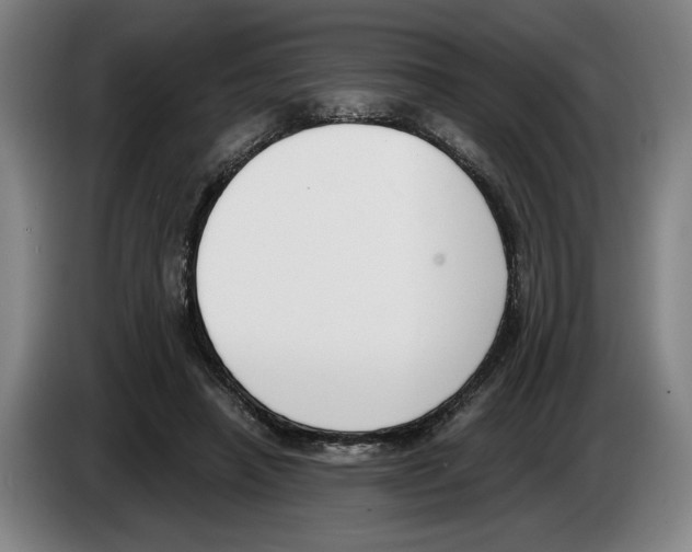 X0000083530450200703091515