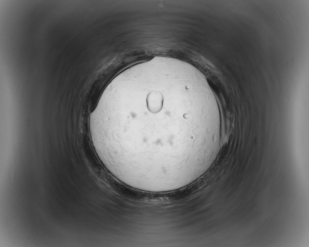 X0000083530452200703091515