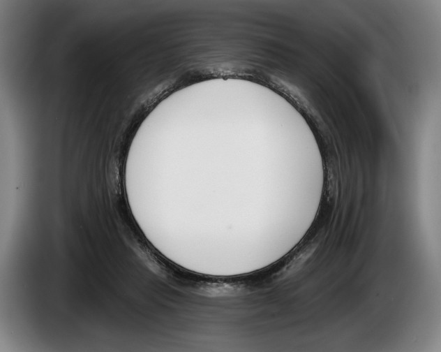 X0000083530453200703091515