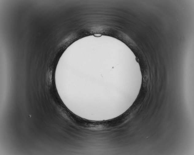 X0000083530454200703091515