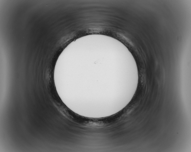 X0000083530455200703091515