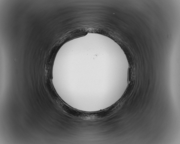 X0000083530456200703091515