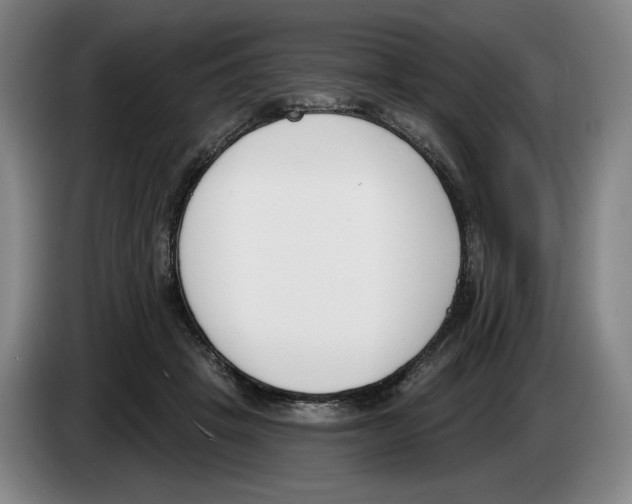 X0000083530457200703091515