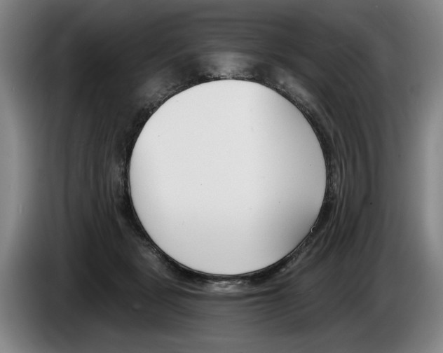 X0000083530461200703091515