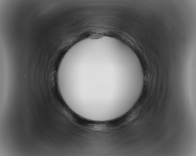 X0000083530462200703091515