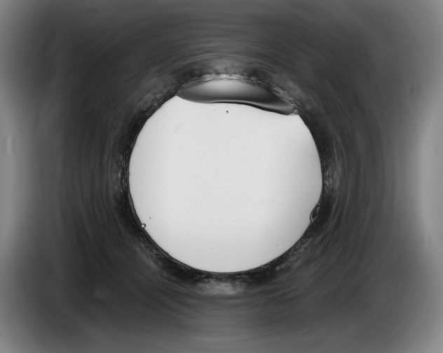 X0000083530464200703091515