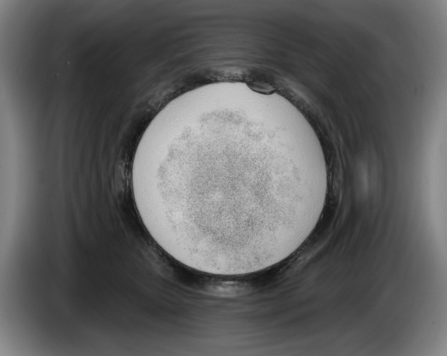 X0000083530467200703091515